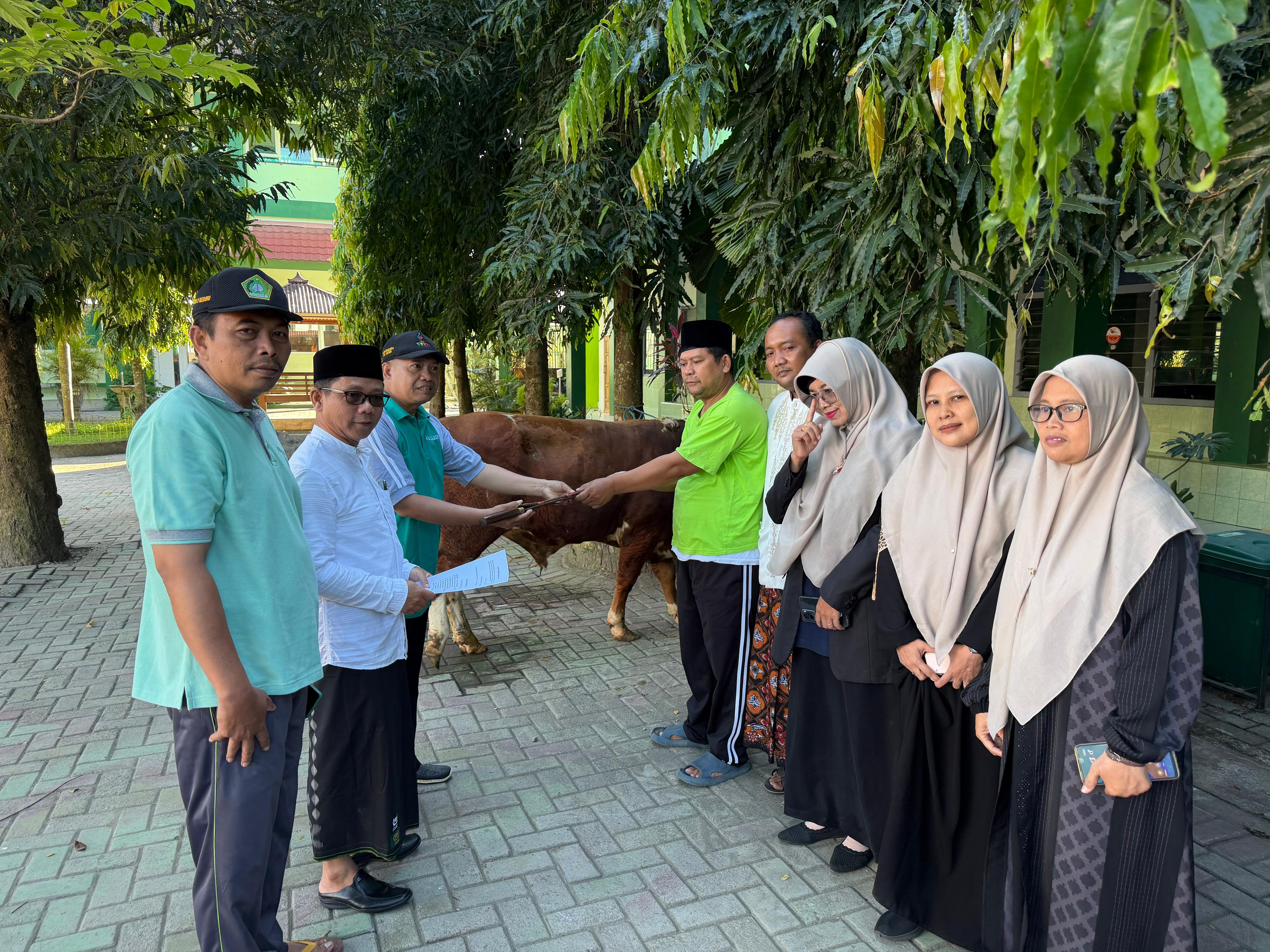 Penyembelihan 2 Ekor Hewan Kurban di MTsN 2 Kediri